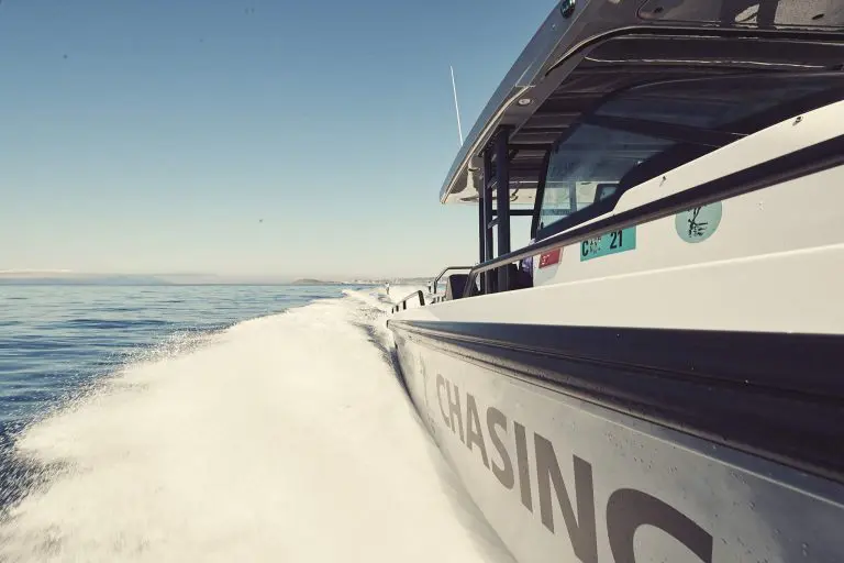 CHASING_CANGURO_-DAY6_VILLAREGGIO_CIVITAVECCHIA_SELECTS_066-768x512