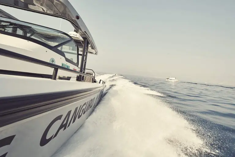 CHASING_CANGURO_DAY2_ADRA_VALENCIA_033-768x512