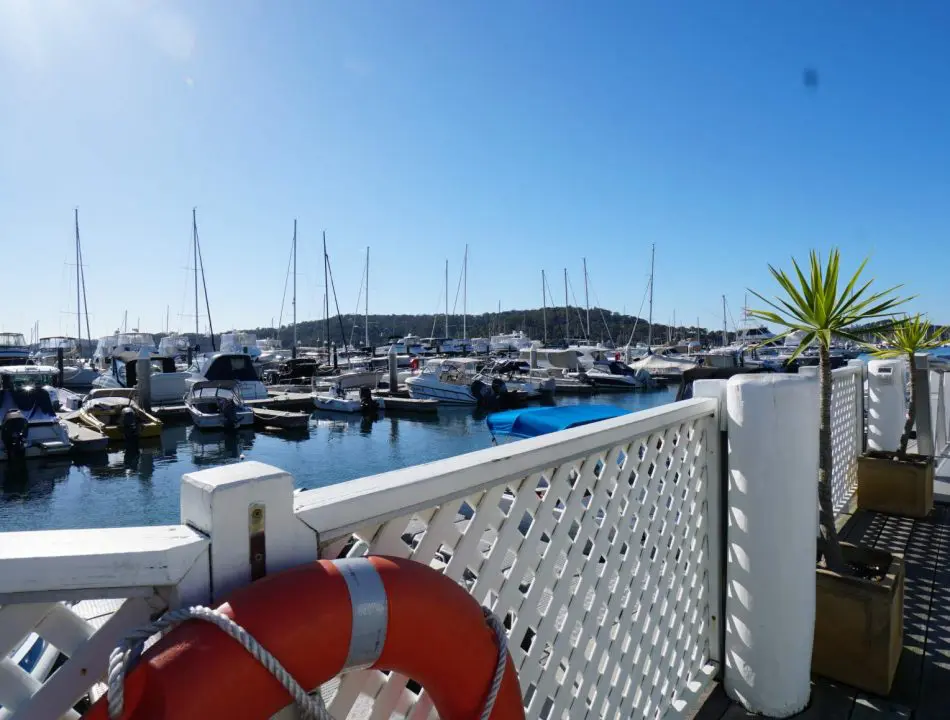 2018-08-17-09.44.46-2-950x720