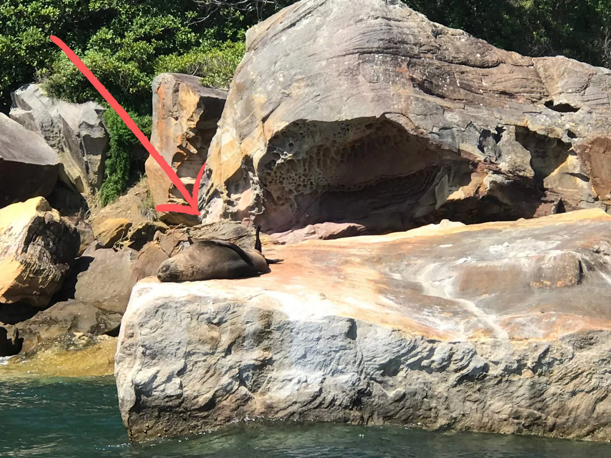 Untitled-design-5 (1)