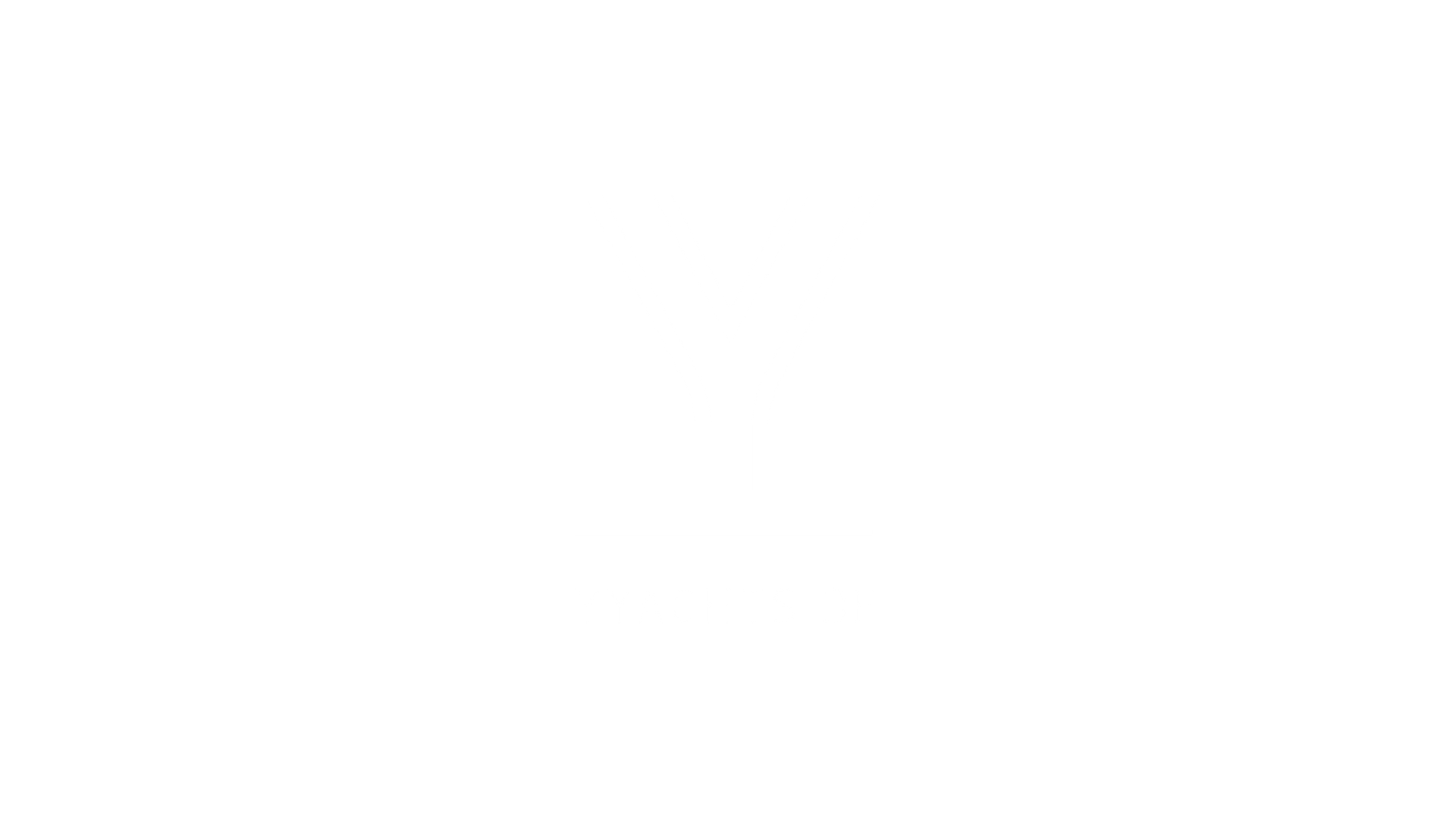 YYachts Review