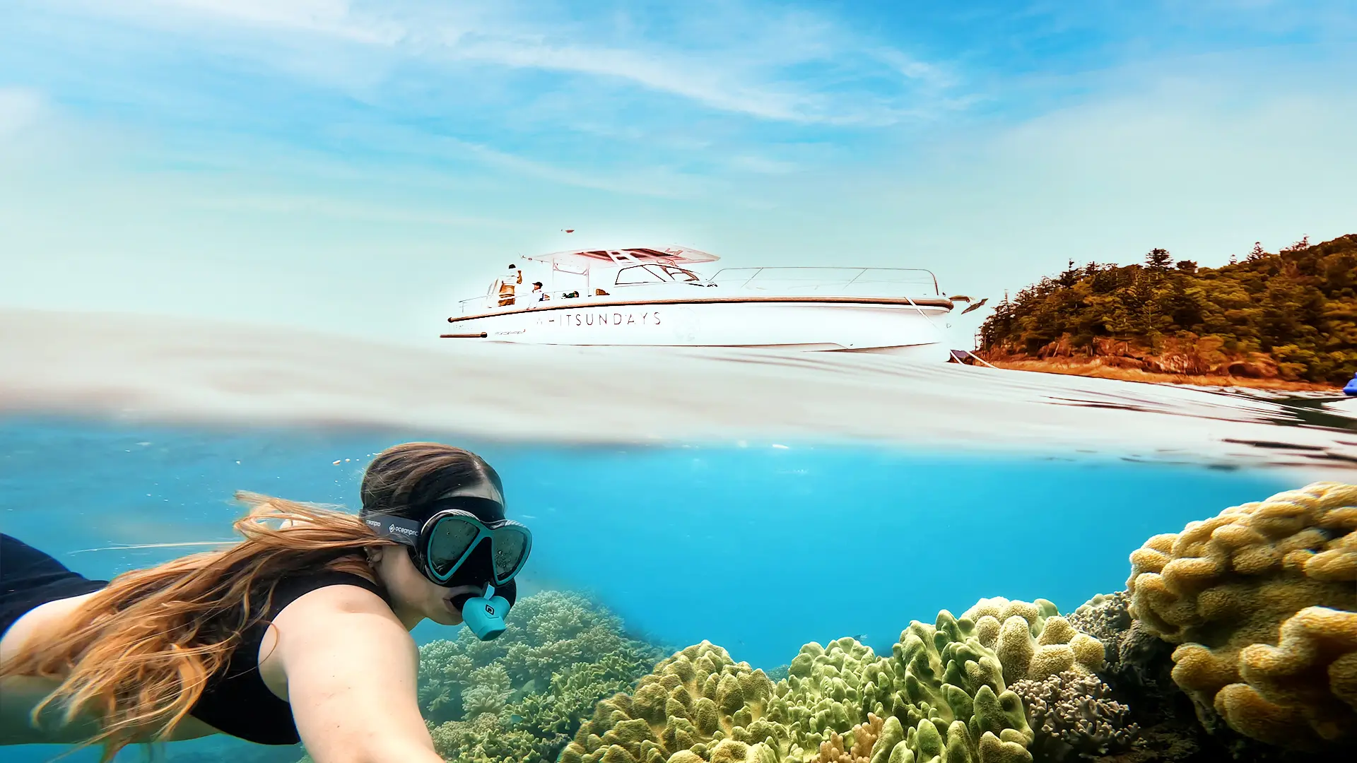 Whitsundays Axopar Reef Adventure