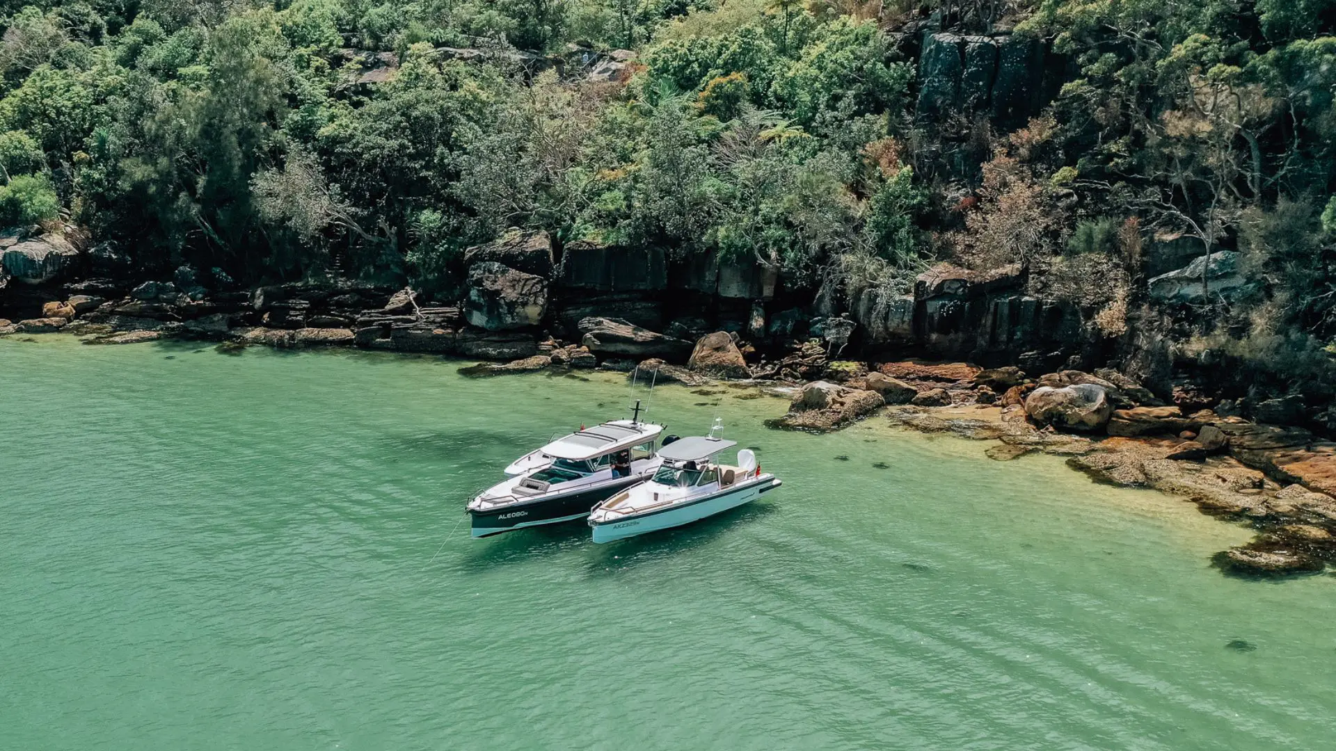 Axopar Range Sydney Harbour