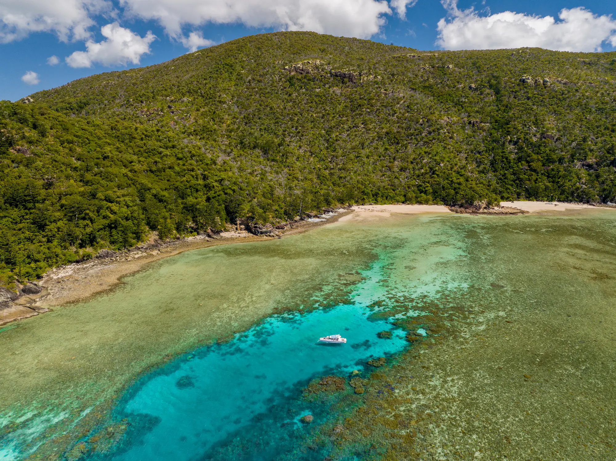 DJI_0377 Axopar Boats Sydney Harbour