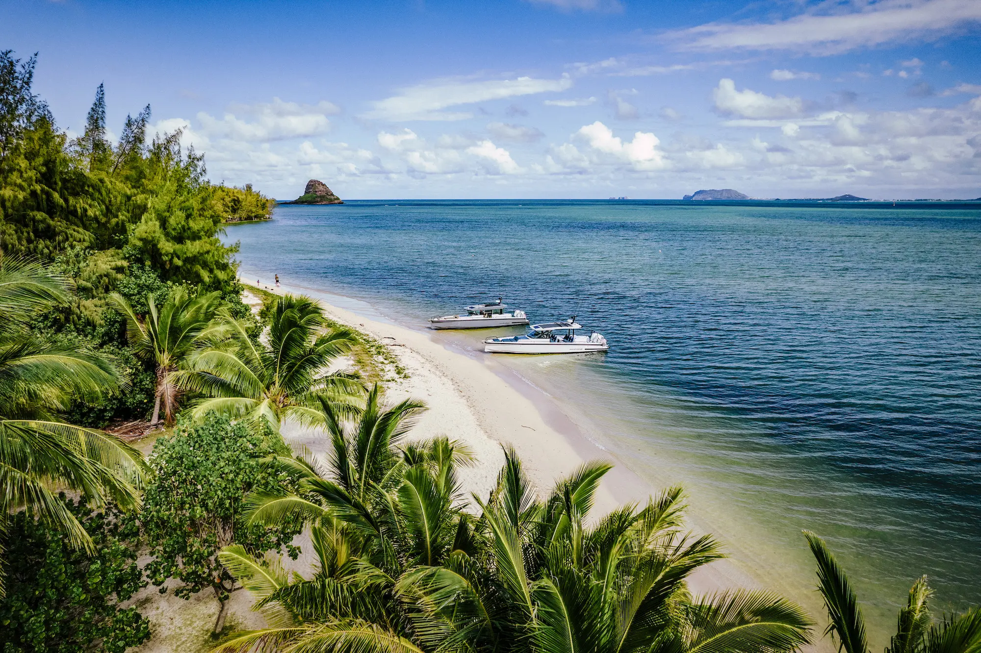 Axopar, Eyachts Australia and New Zealand