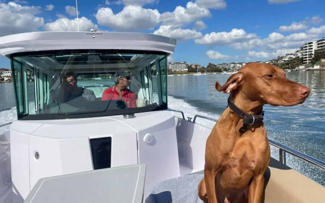 Axopar 28 Review – Graeme