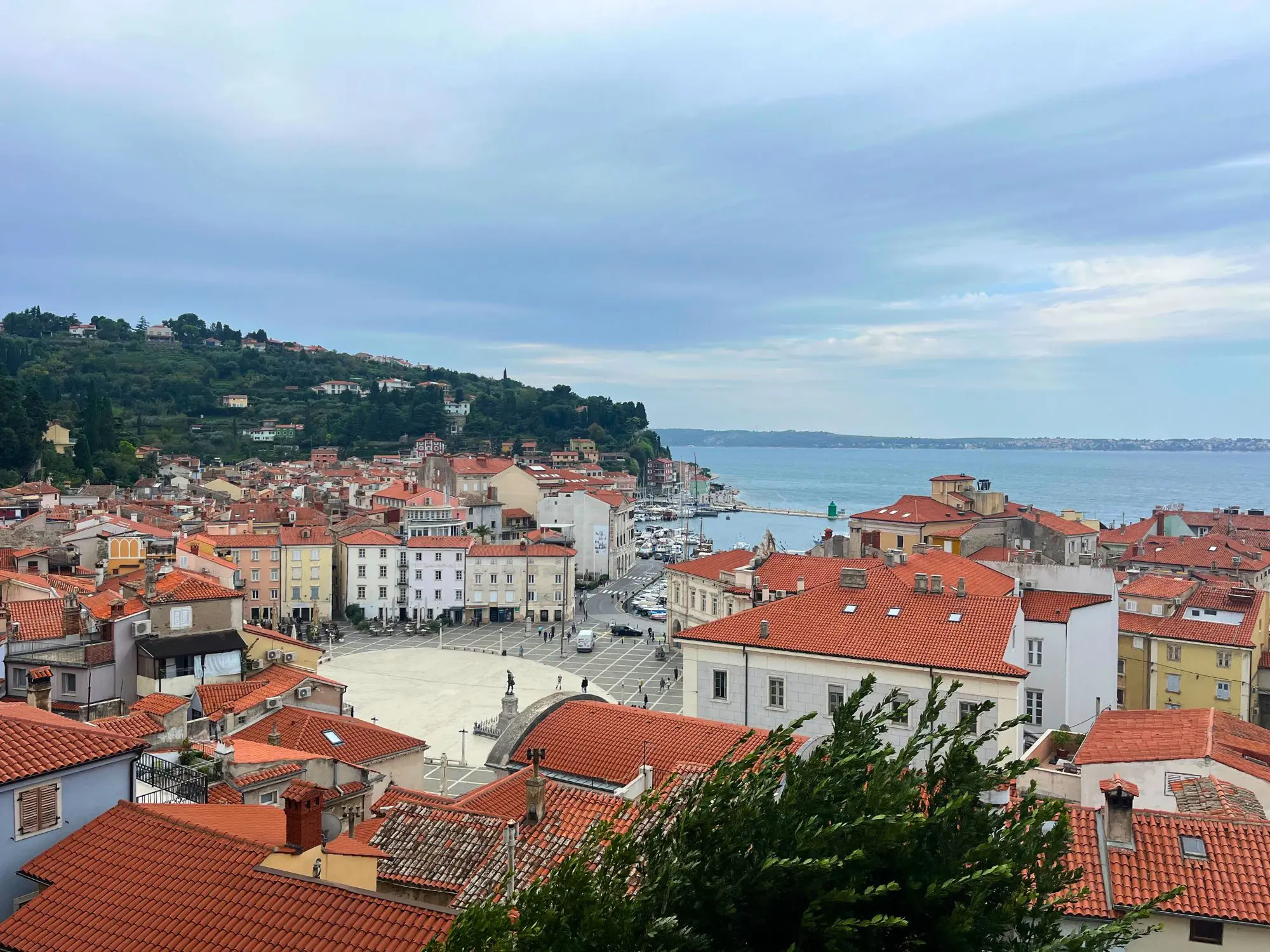 Greenline 48, Eyachts Australia and New Zealand