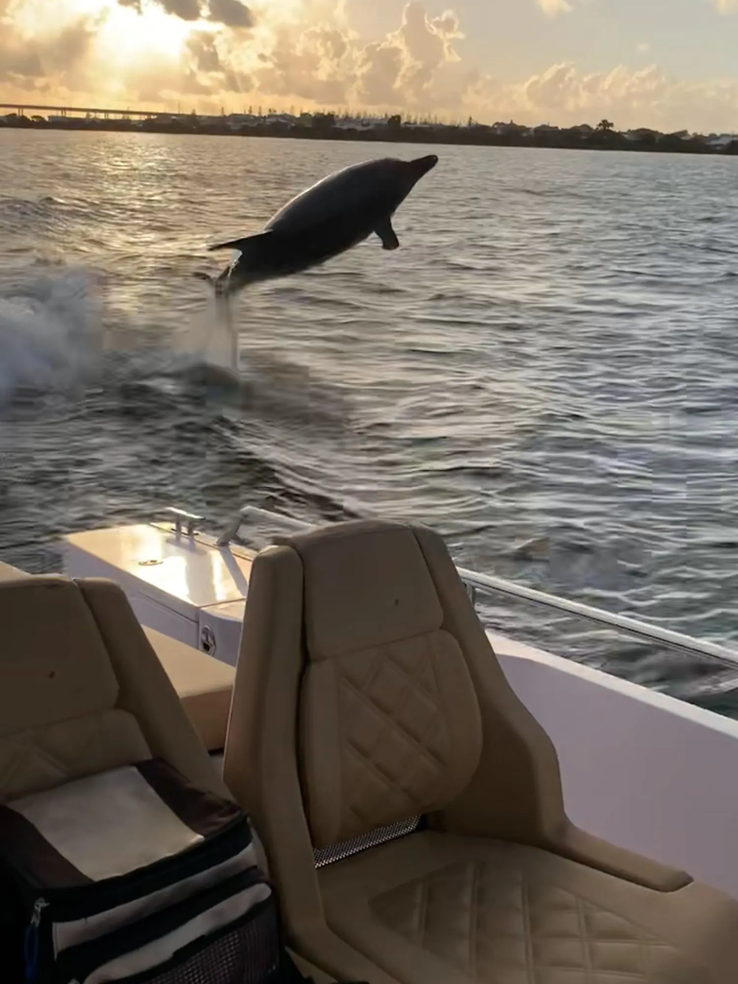 Untitled design (2) Axopar 22 Eyachts, Australia and New Zealand