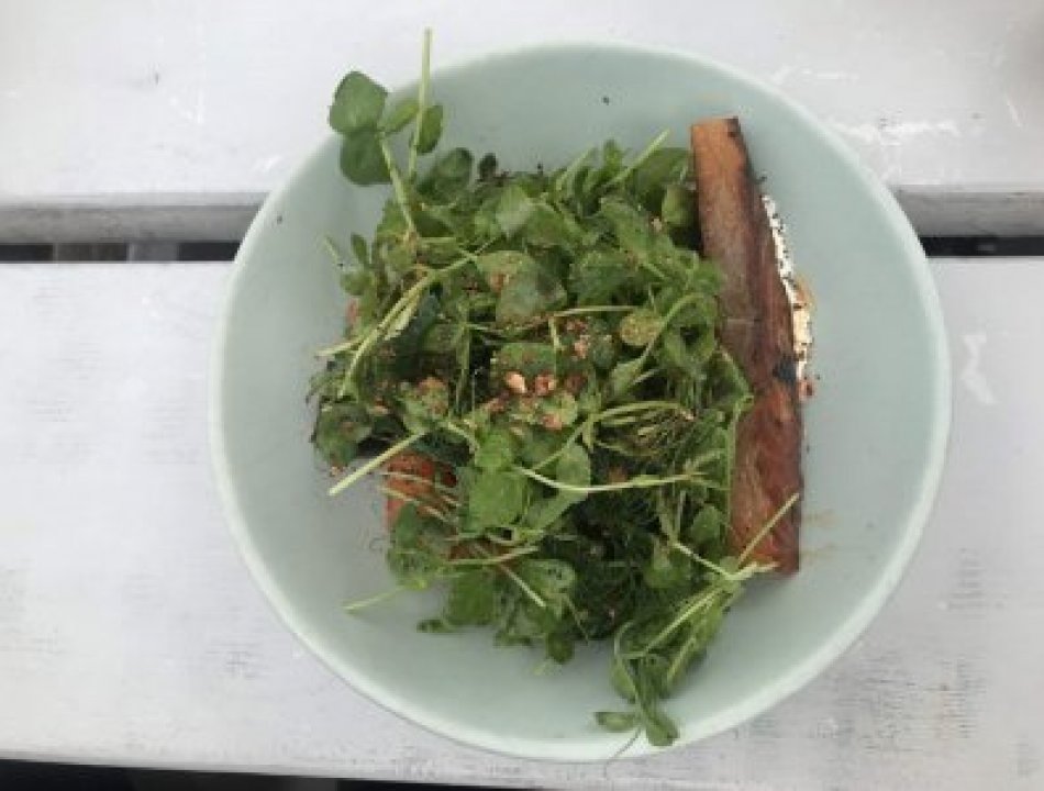 Food-950x720