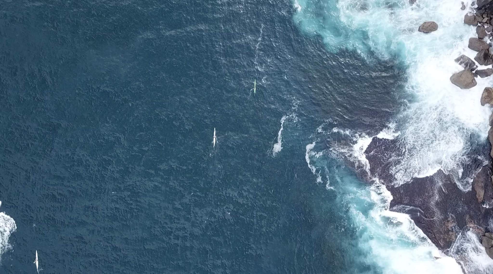 Screen-Shot-2019-05-06-at-2.00.21-pm