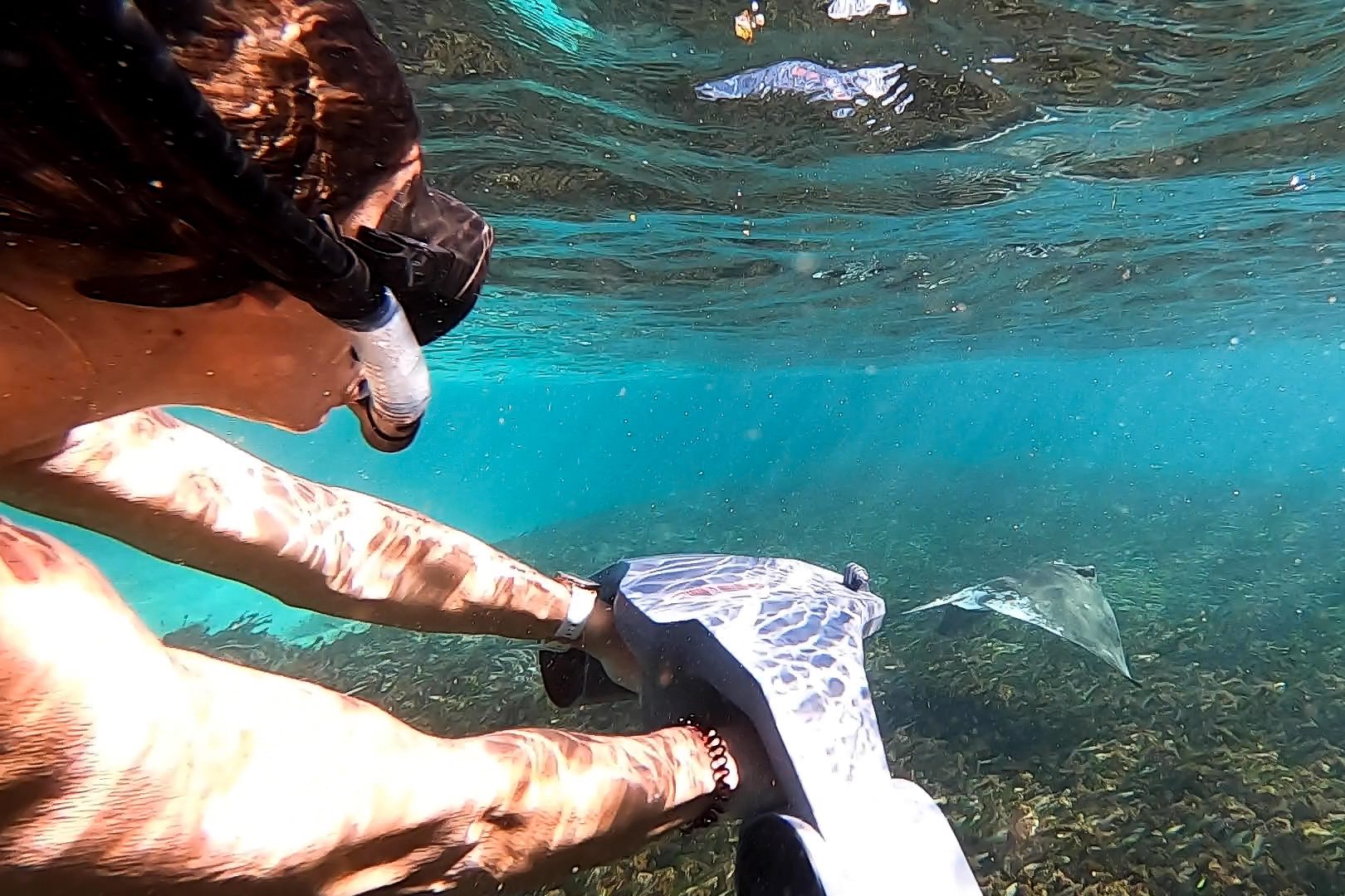 Eyachts Australia Pardo GT52