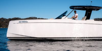 Pardo 38