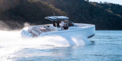 Pardo 38