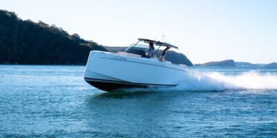 Pardo 38