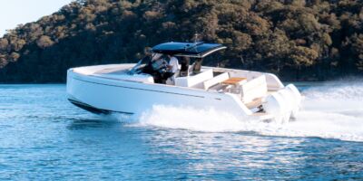 Pardo 38
