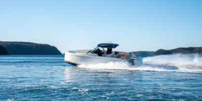 Pardo 38