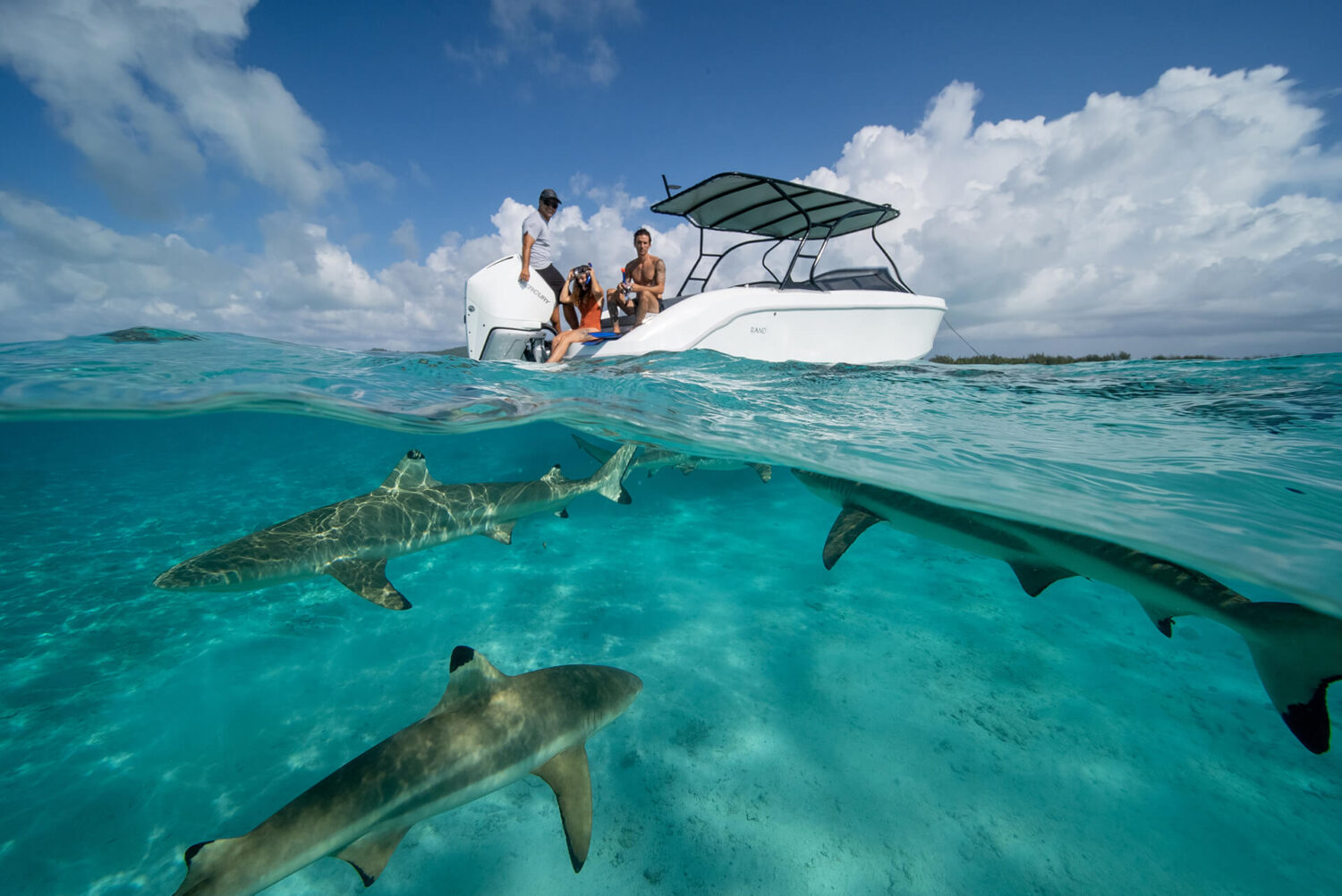 Eyachts Rand SUPREME 27