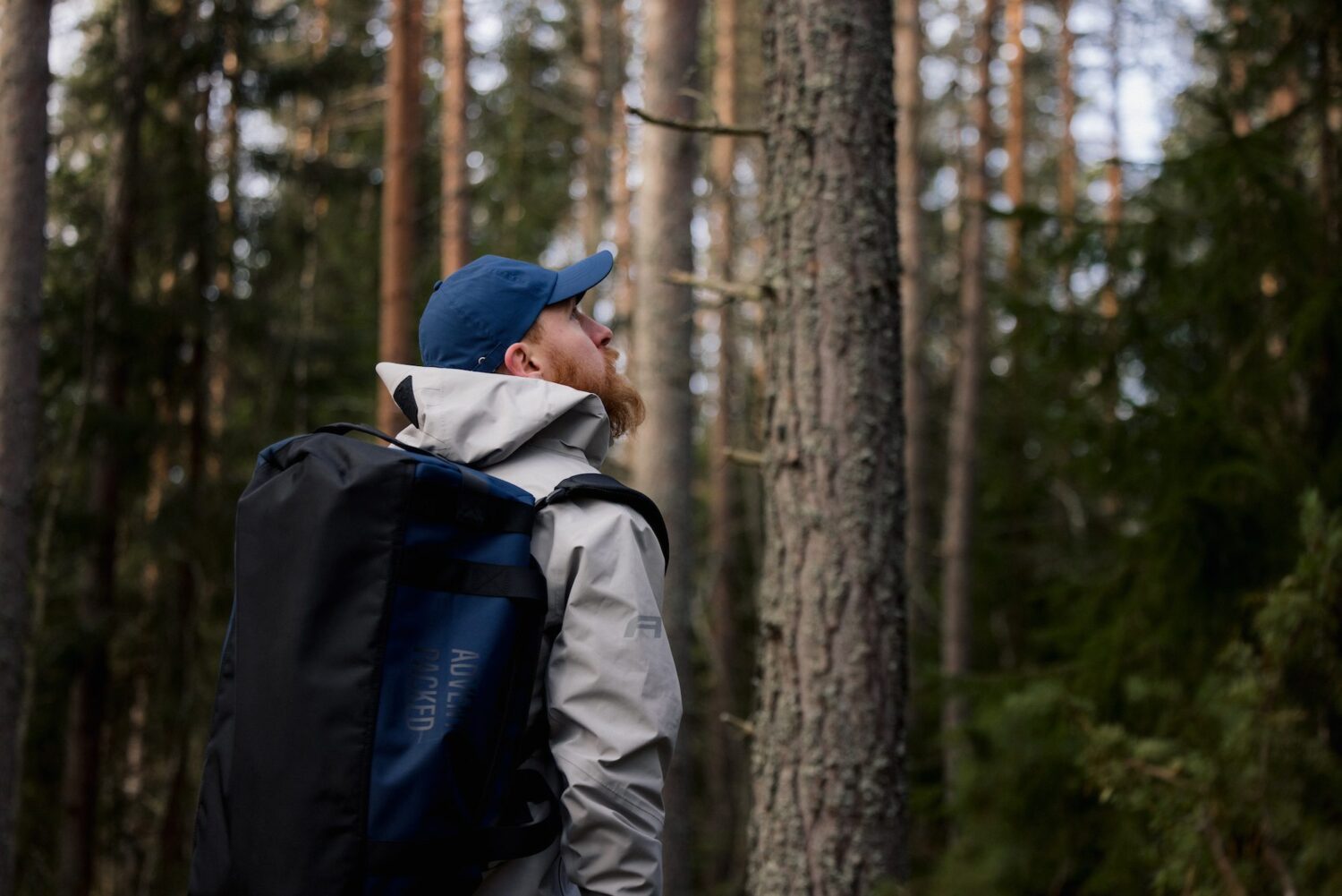 The Adventure Collection